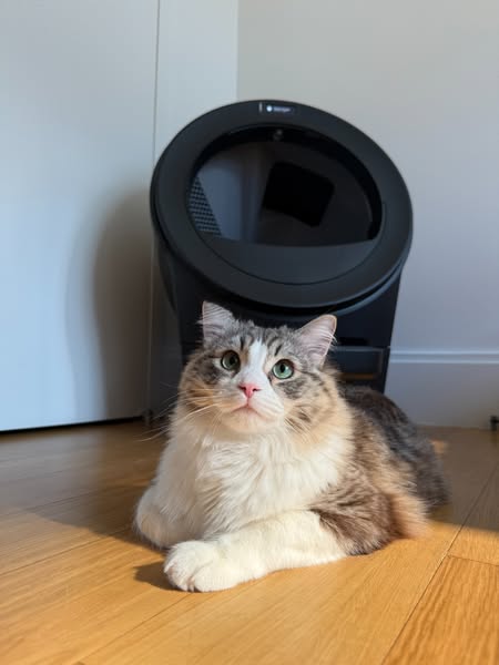 Litter-Robot by Whisker ad creative