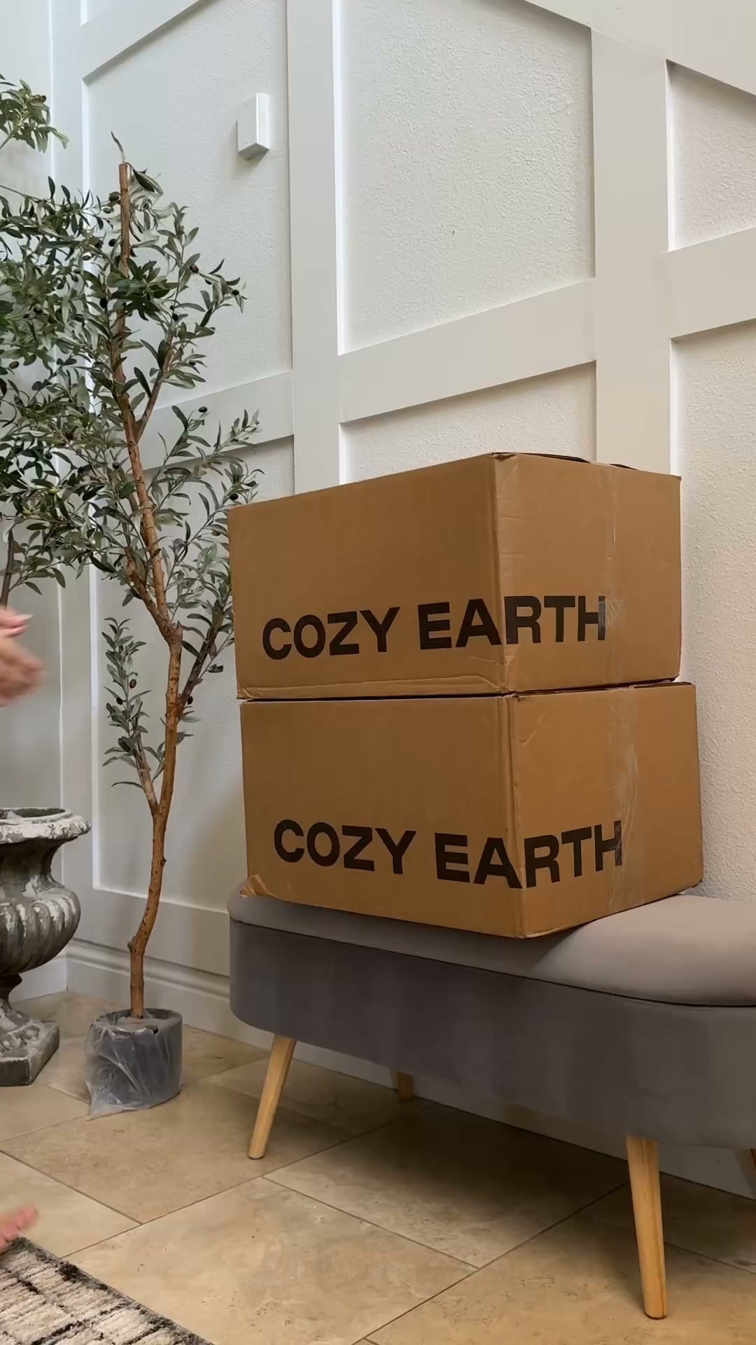 Cozy Earth ad creative