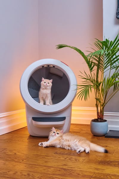 Litter-Robot by Whisker ad creative