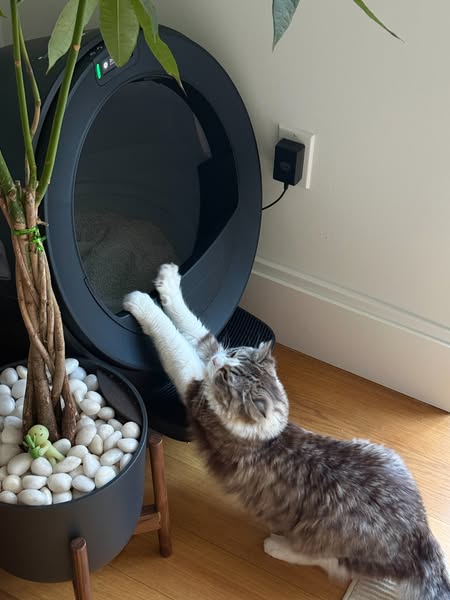 Litter-Robot by Whisker ad creative