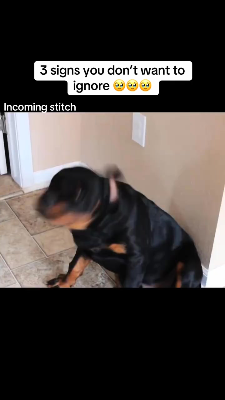 PetLab Co. ad creative