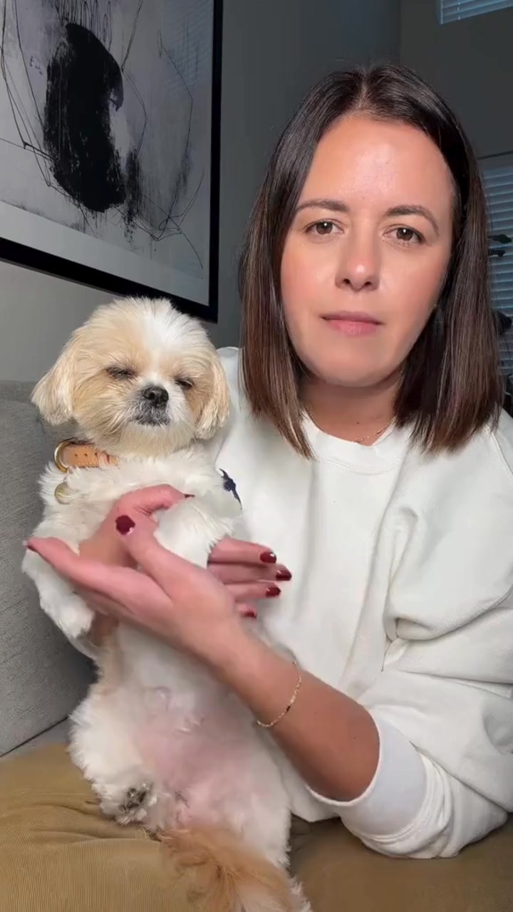 PetLab Co. ad creative