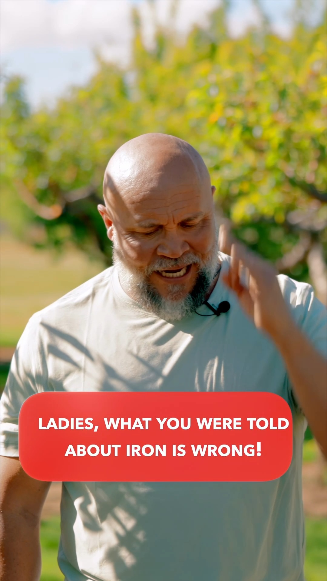 Silver Fern Brand ad creative