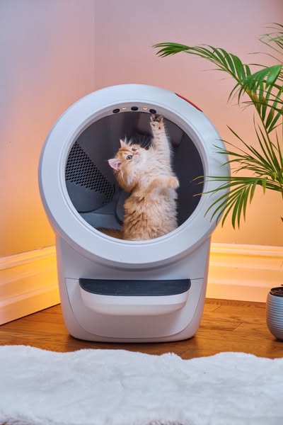 Litter-Robot by Whisker ad creative