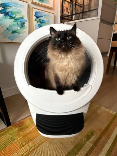 Litter-Robot by Whisker ad creative