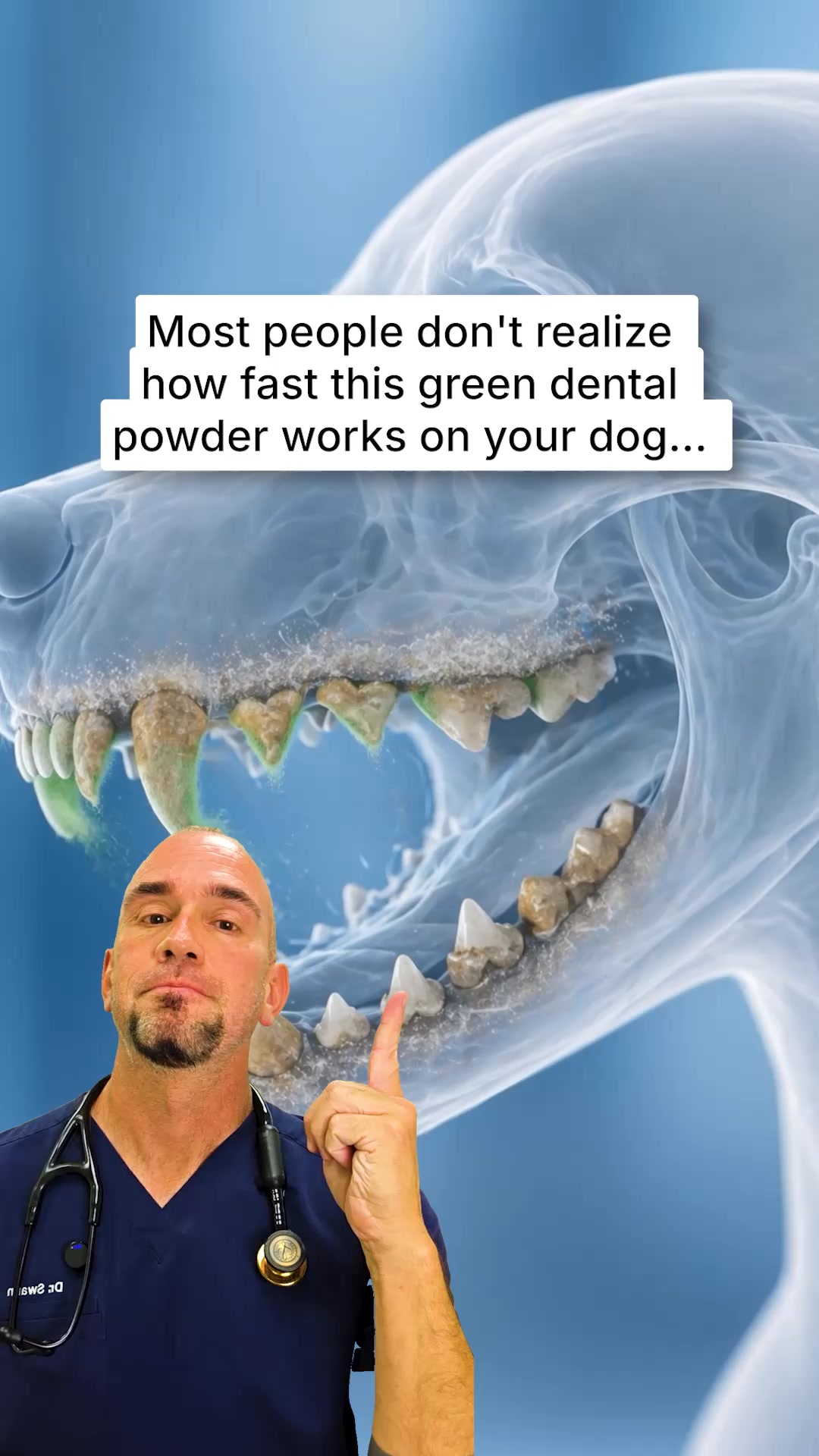 PetLab Co. ad creative