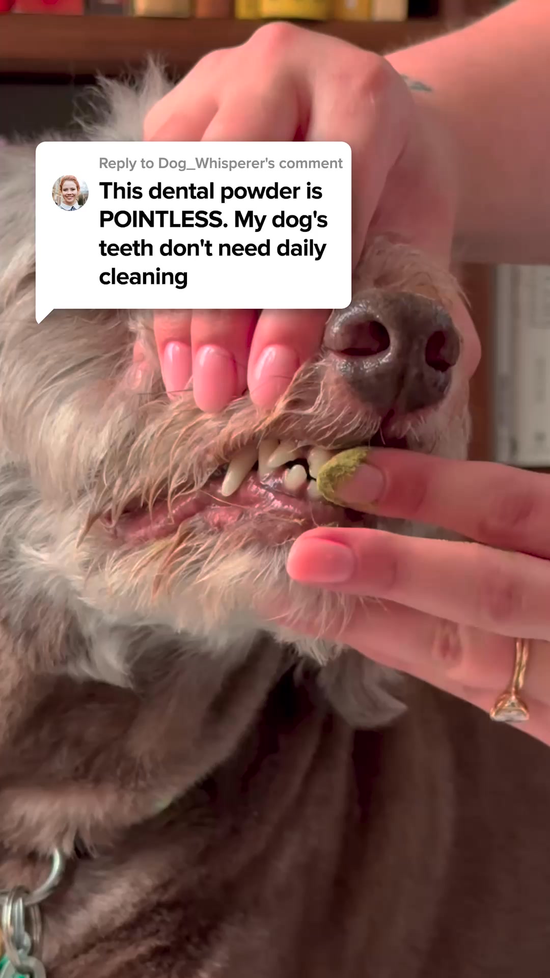 PetLab Co. ad creative