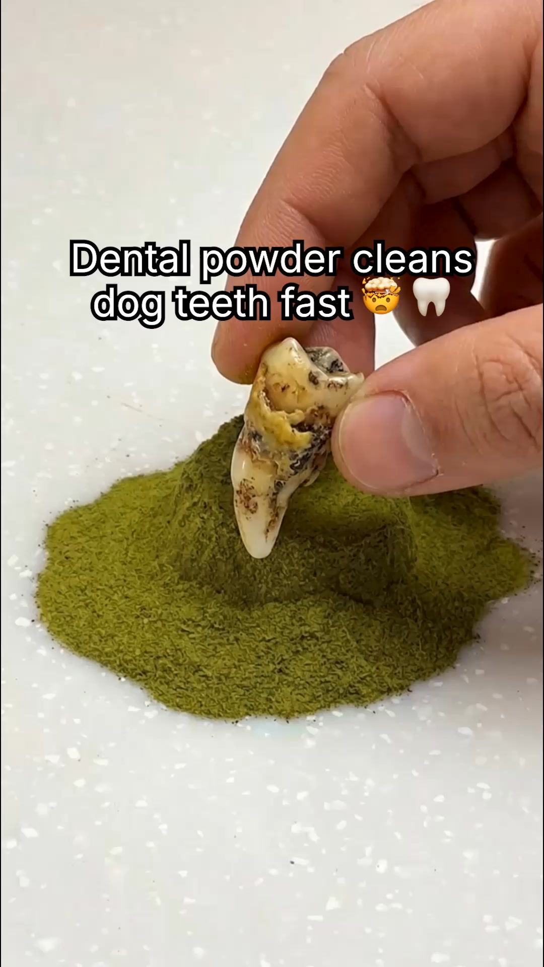 PetLab Co. ad creative