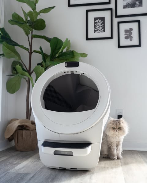 Litter-Robot by Whisker ad creative