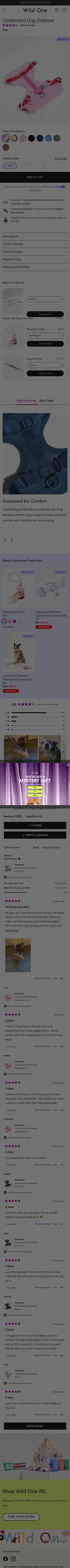 Wild One landing page