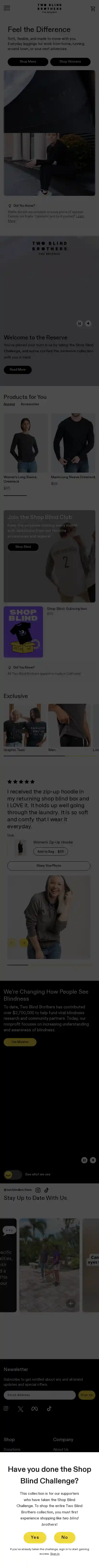 Two Blind Brothers landing page