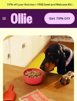 Ollie landing page, scored 77 out of 100