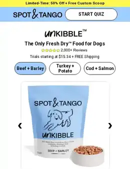Spot and Tango landing page, scored 81 out of 100